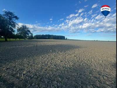 Grundstück kaufen in 4612 Scharten