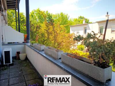 Terrassenwohnung kaufen in 1230 Wien (Bild 5)
