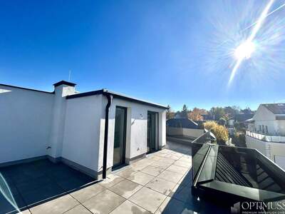 Haus kaufen in 1230 Wien (Bild 5)