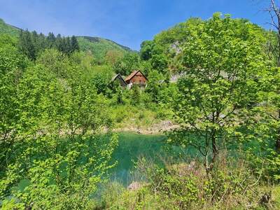 Einfamilienhaus kaufen in 3335 Weyer (Bild 3)
