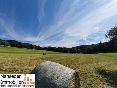 Grundstück mieten in 3051 Ludmerfeld