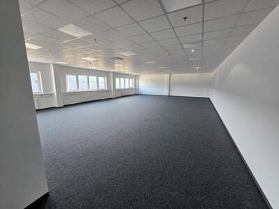Gewerbeobjekt mieten in 2431 Enzersdorf (Bild 2)