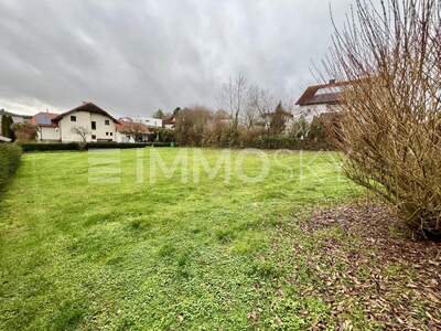 Grundstück kaufen in 4491 Niederneukirchen (Bild 4)