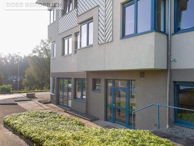 Gewerbeobjekt mieten in 4600 Thalheim (Bild 3)