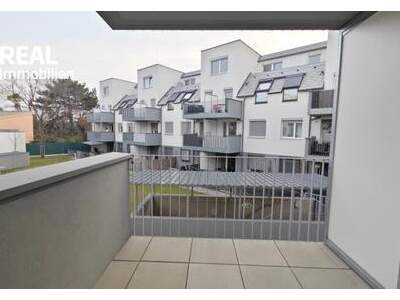 Wohnung mieten in 1220 Wien