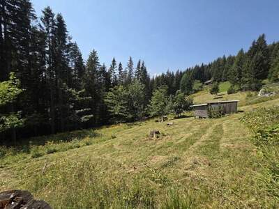 Haus mit Garten kaufen in 8592 Salla (Bild 5)