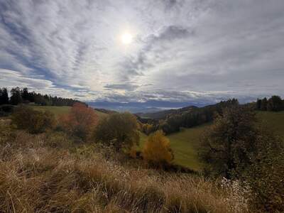 Gewerbeobjekt kaufen in 9112 Griffen (Bild 5)