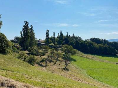 Gewerbeobjekt kaufen in 8462 Leutschach (Bild 2)