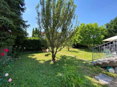 Haus kaufen in 1220 Wien