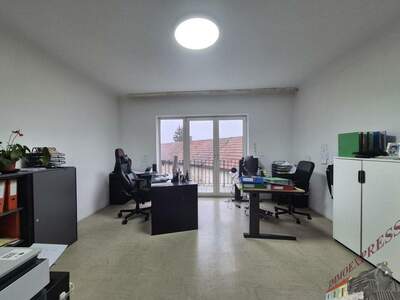 Haus mit Garten kaufen in 2304 Orth (Bild 2)