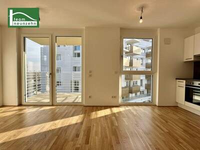 Terrassenwohnung mieten in 1220 Wien (Bild 2)