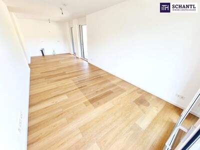 Terrassenwohnung kaufen in 2391 Kaltenleutgeben (Bild 3)