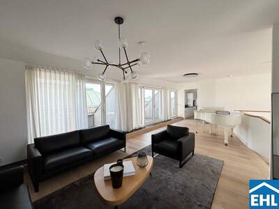 Terrassenwohnung mieten in 1010 Wien (Bild 1)