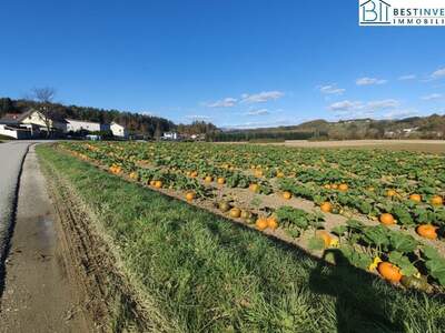Grundstück kaufen in 8261 Sinabelkirchen (Bild 1)
