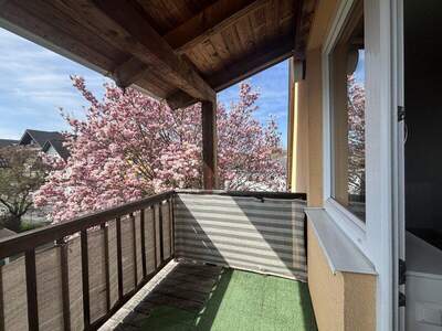 Terrassenwohnung mieten in 8330 Feldbach (Bild 2)