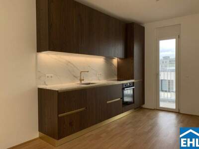 Terrassenwohnung kaufen in 1230 Wien (Bild 4)