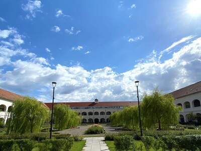 Wohnung mieten in 7100 Neusiedl (Bild 3)