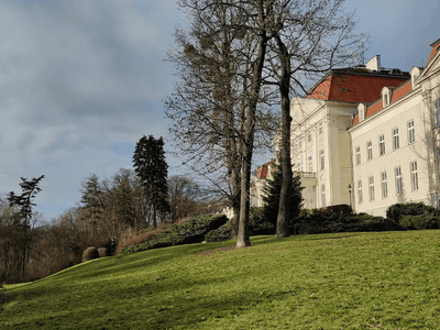 Wohnung provisionsfrei mieten in 1160 Wien