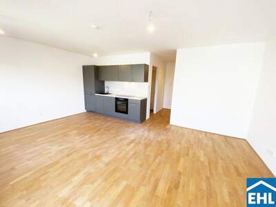 Terrassenwohnung mieten in 1110 Wien (Bild 3)