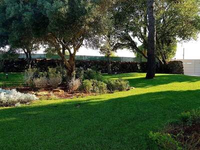 Haus mit Garten kaufen in 73040 Santa Maria di Leuca (Bild 4)