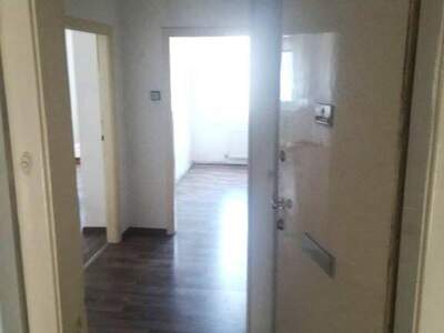 Wohnung mieten in 1010 Wien