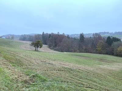 Grundstück kaufen in 8082 Kirchbach