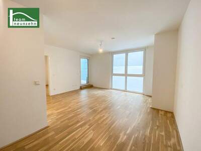 Terrassenwohnung mieten in 1200 Wien (Bild 1)