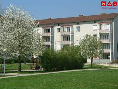 Terrassenwohnung mieten in 4060 Leonding (Bild 2)