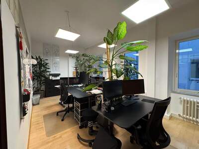 Gewerbeobjekt mieten in 1010 Wien (Bild 2)