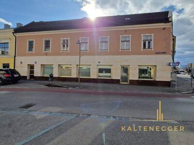 Anlageobjekt kaufen in 2620 Neunkirchen (Bild 5)