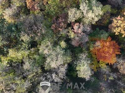 Einfamilienhaus kaufen in 3452 Atzenbrugg (Bild 5)