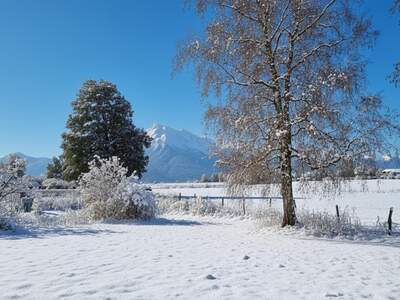 Grundstück kaufen in 5020 Salzburg (Bild 3)