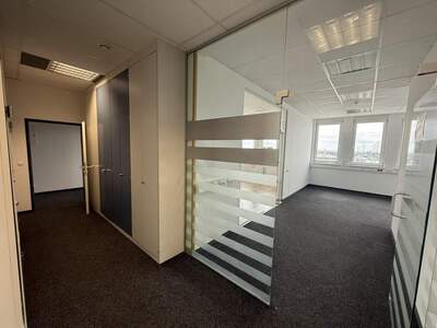 Büro / Praxis mieten in 2351 Wr. Neudorf (Bild 5)