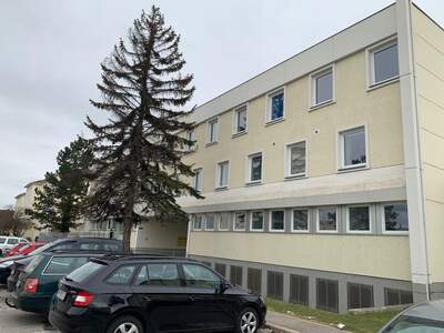 Altbauwohnung mieten in 2700 Wiener Neustadt (Bild 1)