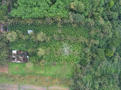 Grundstück kaufen in 80572 Puhu (Bild 1)