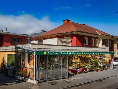 Gewerbeobjekt mieten in 9800 Spittal