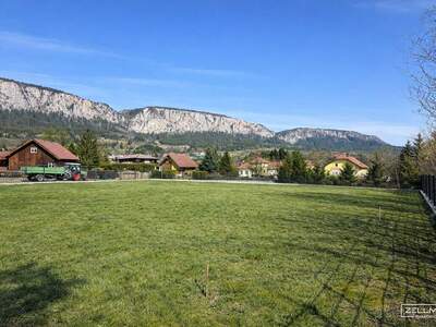 Grundstück kaufen in 2724 Hohe Wand