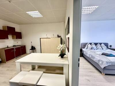 Gewerbeobjekt mieten in 8724 Spielberg (Bild 4)