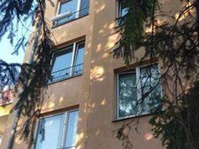 Wohnung mieten in 1230 Wien (Bild 4)