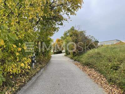 Grundstück kaufen in 2103 Langenzersdorf (Bild 3)