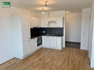 Wohnung mieten in 1220 Wien