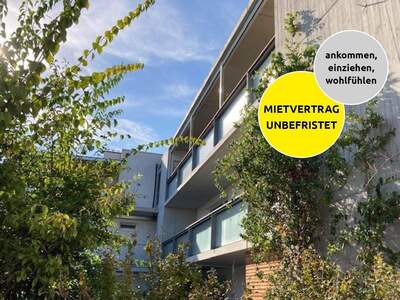 Wohnung mieten in 3500 Krems