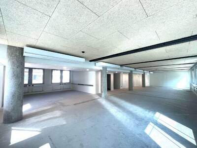 Gewerbeobjekt mieten in 1020 Wien (Bild 3)