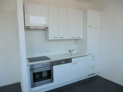 Gewerbeobjekt mieten in 4910 Ried (Bild 2)