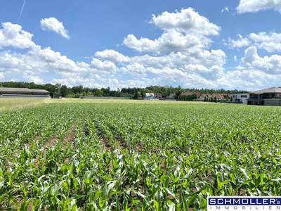 Gewerbeobjekt kaufen in 4623 Gunskirchen (Bild 2)