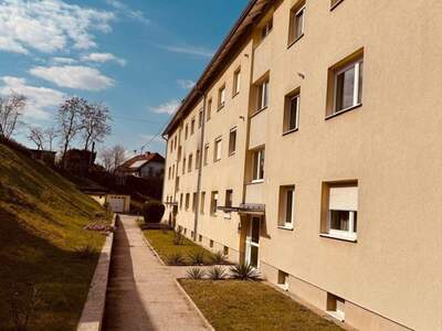 Altbauwohnung kaufen in 4073 Wilhering (Bild 1)