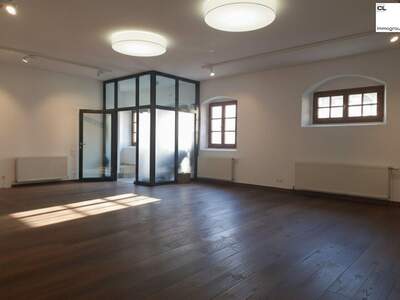 Gewerbeobjekt mieten in 5310 Mondsee (Bild 2)