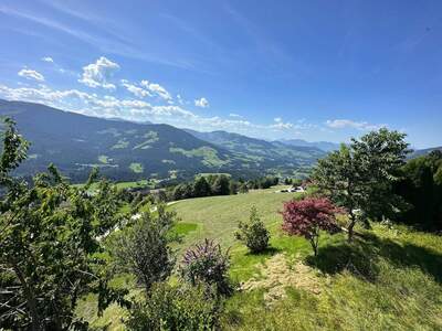 Grundstück kaufen in 6363 Westendorf