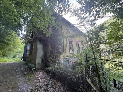 Grundstück kaufen in 3680 Isperdorf