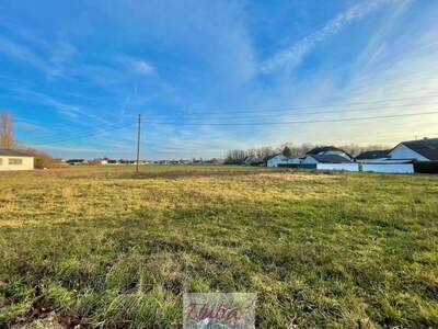 Grundstück kaufen in 4614 Marchtrenk (Bild 3)